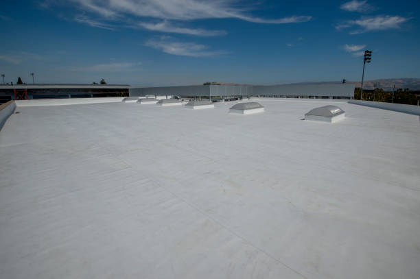 Best Emergency Roof Repair Services  in Jackson, MN